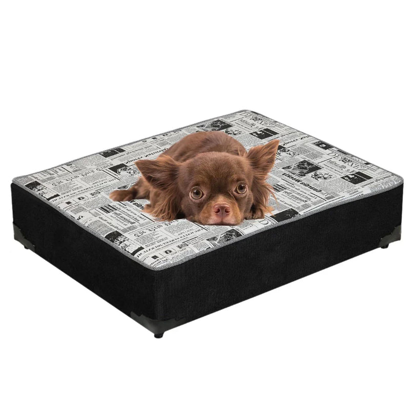 Cama para Cachorro e Gato Confortável e Resistente - Box Pet